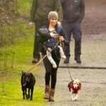 Meghan Markle Spotted Walking Family Dogs and Baby Archie in Canada