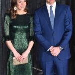 Kate Middleton in Metallic Dress for First Evening in Ireland