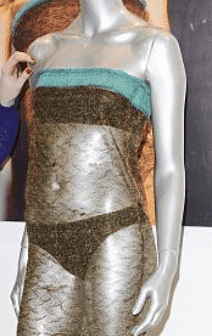 Kate Middleton's Sheer Dress that Wowed William - Dress Like A Duchess