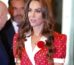 Kate Middleton Wears Heart Print Dress for Palace Reception